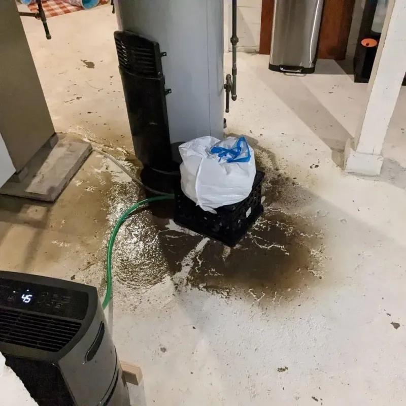 Sewage Backup Cleanup Service in Joseph, OR